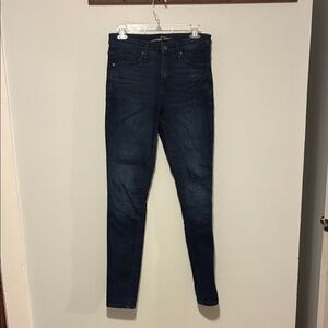Universal Thread Dark Indigo Skinny Jeans